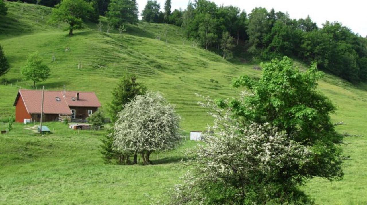 Kaufhold Ferienwohnung Immenstadt im Allgäu Eksteriør billede